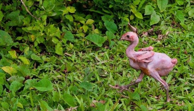 15 шокирующих результатов научных экспериментов 