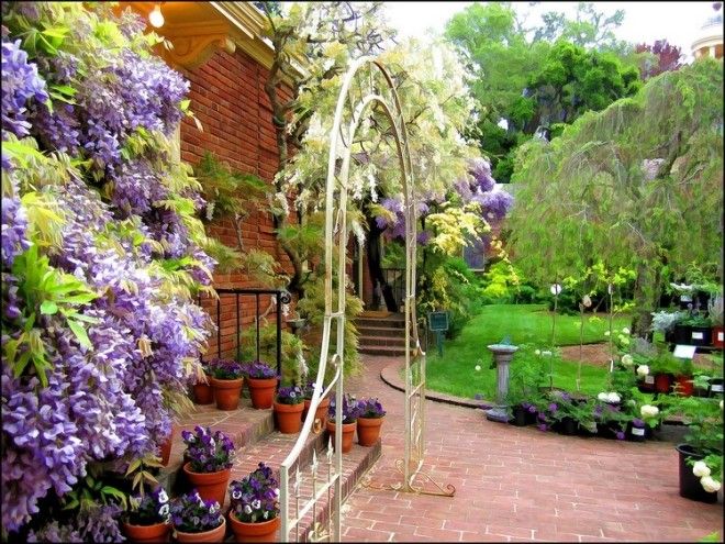 Невероятны сады филоли которые не оставят вас равнодушными