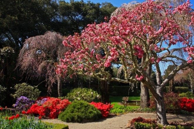 Невероятны сады филоли которые не оставят вас равнодушными