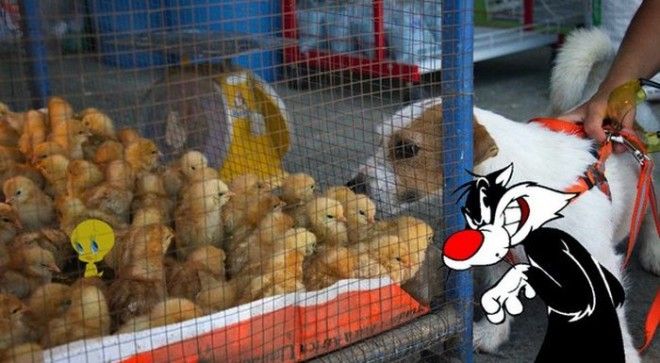 Грустная реальность в нереальных картинках (40 картинок)