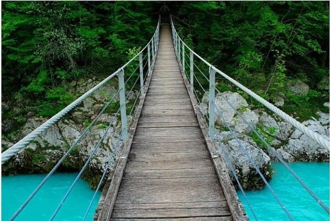 Досмотрев эти фото до конца вы узнаете какой фобией вы страдаете