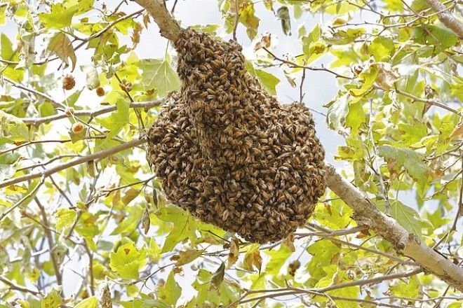 Досмотрев эти фото до конца вы узнаете какой фобией вы страдаете