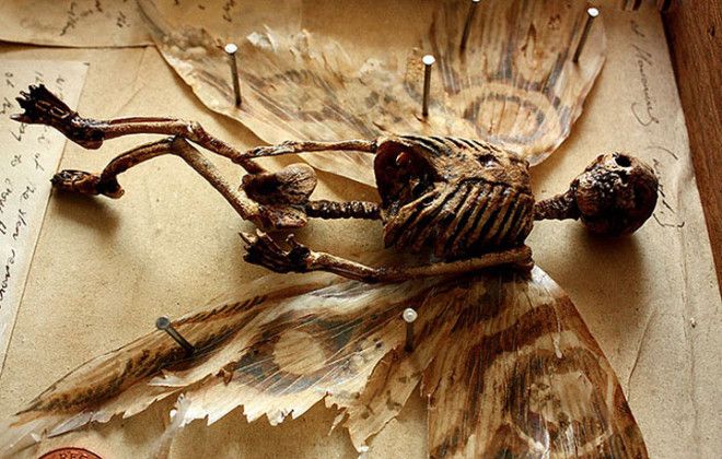 Строители сносили дом и увидели подвал в котором нашли черта