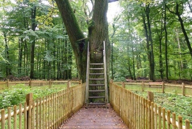 Вот где прячется любовь!