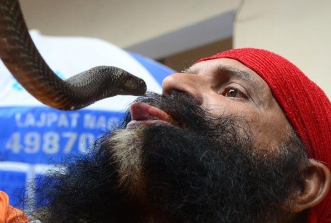 Страх им нипочем!